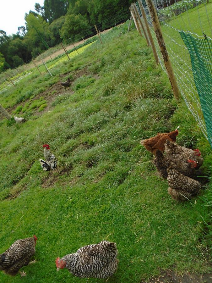 Turismo Rural El Gobernador Pensionat Villaviciosa  Eksteriør billede